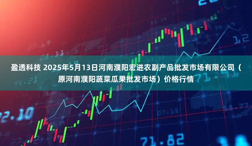 盈透科技 2025年5月13日河南濮阳宏进农副产品批发市场有限公司（原河南濮阳蔬菜瓜果批发市场）价格行情