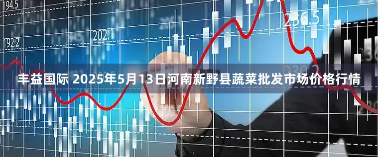 丰益国际 2025年5月13日河南新野县蔬菜批发市场价格行情