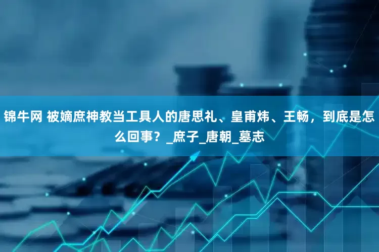 锦牛网 被嫡庶神教当工具人的唐思礼、皇甫炜、王畅，到底是怎么回事？_庶子_唐朝_墓志