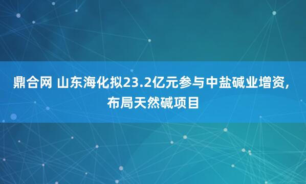 鼎合网 山东海化拟23.2亿元参与中盐碱业增资, 布局天然碱项目