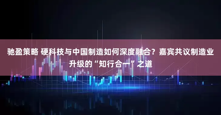 驰盈策略 硬科技与中国制造如何深度融合？嘉宾共议制造业升级的“知行合一”之道