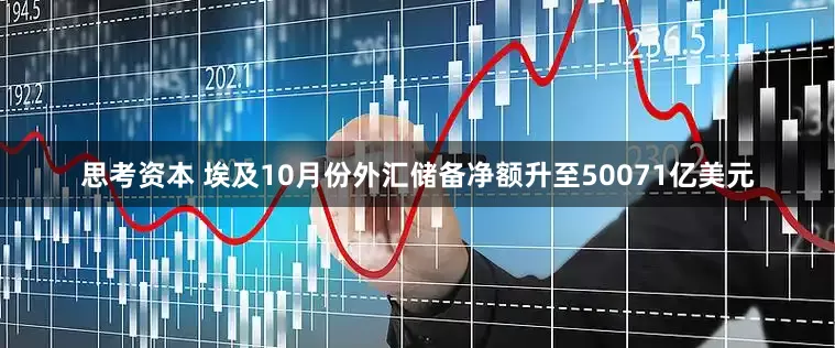 思考资本 埃及10月份外汇储备净额升至50071亿美元