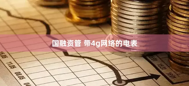 国融资管 带4g网络的电表