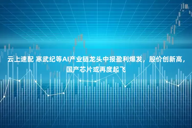 云上速配 寒武纪等AI产业链龙头中报盈利爆发，股价创新高，国产芯片或再度起飞